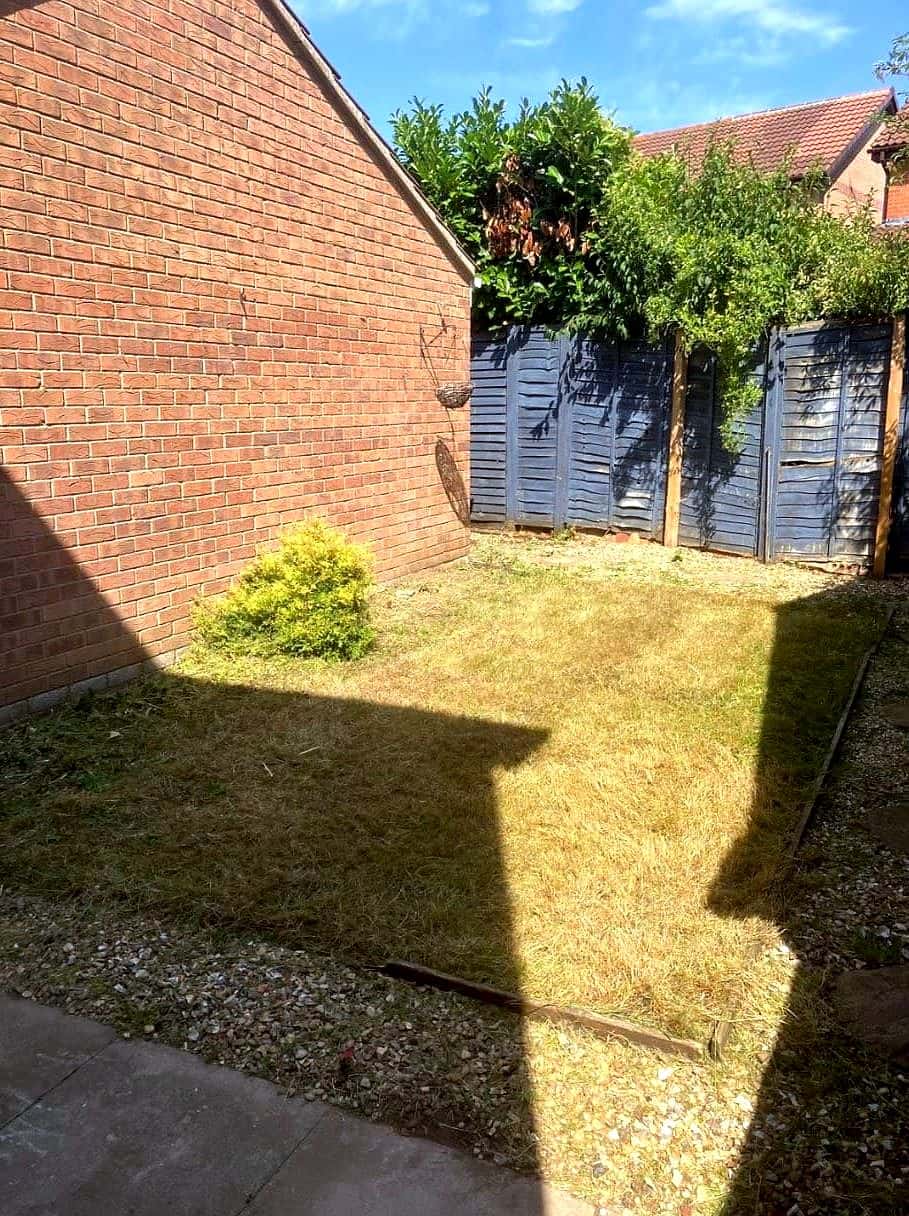 Back lawn cut and cleared after the tidy-up