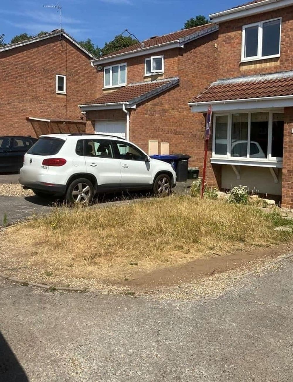 Overgrown front lawn beside a driveway
